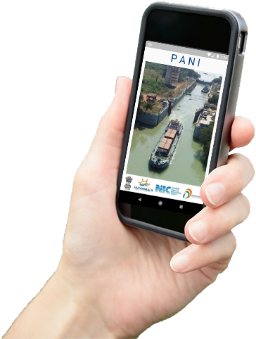 Phone in hand with pani website opened